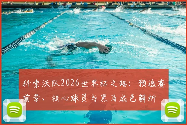 科索沃队2026世界杯之路：预选赛前景、核心球员与黑马成色解析